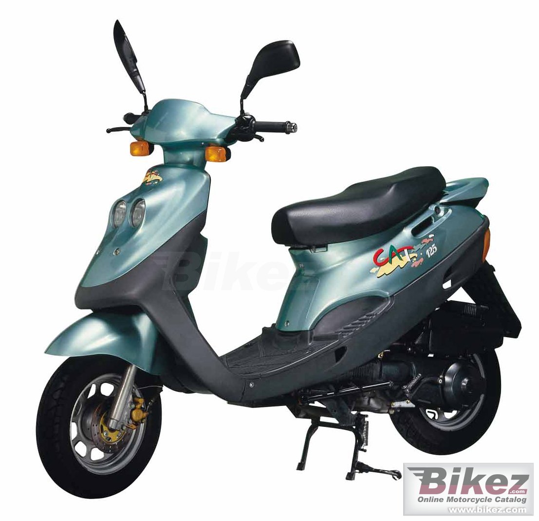 Big Adly cat 125b picture and wallpaper from Bikez.com